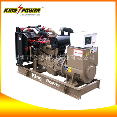 【沼氣發電機廠家】讓污染成為能源的一種！