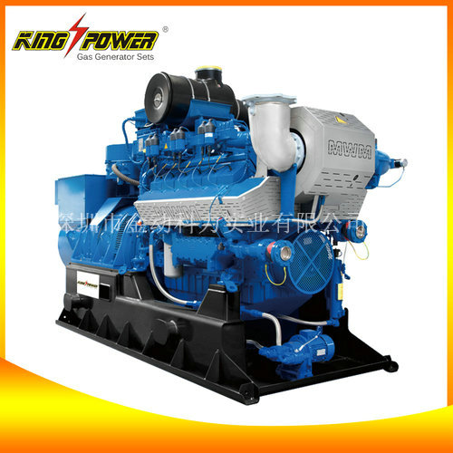 【生物質(zhì)氣發(fā)電機(jī)組生產(chǎn)商】給你不一樣的激情!