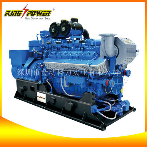 進口天燃?xì)獍l(fā)電機/供應(yīng)天然氣發(fā)電機組